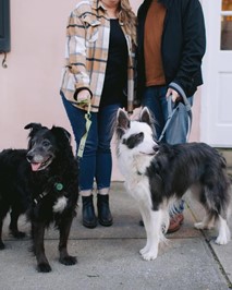 Couple walking two dogs